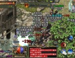 古墓四传奇私服杀怪称号为什么难获得