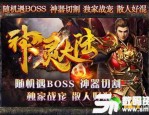 至尊传奇私服版中，后期这个职业最最显著！