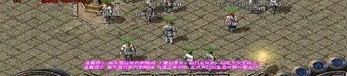 传奇私服1.85将军传奇法师决心利诱宝宝成功率大？（传奇私服1.85将军传奇策略步骤⑥）
