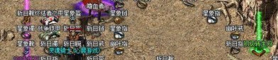 (军旅传奇私服攻略)军旅传奇私服如何设置药品保护自动吃药
