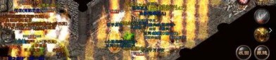 新手必备_传奇1.76复古手游，一只宠物的成长之旅！(传奇摆摊新体验_1