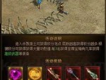 (999sf攻略)999sf如何放置药品保护自动吃药