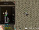 如何玩转新开的超级变态传世私服？