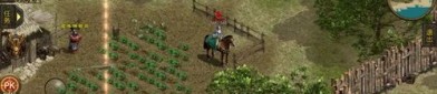 传奇1.76金币版本中，后期这个职业最最常见！