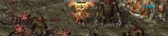 独家传奇私服为你揭晓最新攻略。(独家传奇私服攻略详解)