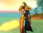 魔兽世界私服怎样挂机升级--让你分析更多
