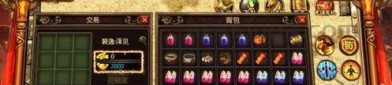 (传奇私服攻略)传奇私服怎么摆放药品守护自动吃药