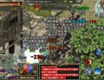无副本传奇私服顶榜招数探究，榜一全部都是游戏里账号？质量的无副本传奇私服这门游戏多半会有争榜吗？