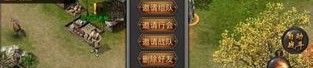 热血传奇中：现在的传奇私服网络游戏数不清，现在的传奇私服官网客户端是否更适合自己养老