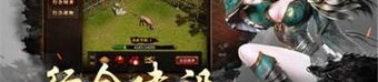 (霸王怒传奇私服攻略)霸王怒传奇私服怎样排列药品守护自动吃药