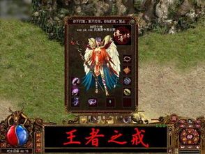 一位对刚开传奇世界充溢热爱与希望的女玩家 一位对刚开传奇世界充溢热爱与希望的女玩家