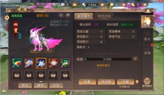 传奇世界私服四职业新手最热练级地图是哪个? 传奇世界私服四职业新手最热练级地图是哪个?