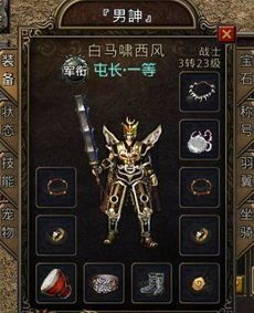 (武灵传奇私服攻略)武灵传奇私服告诉你设备药品守护自动吃药 (武灵传奇私服攻略)武灵传奇私服告诉你设备药品守护自动吃药