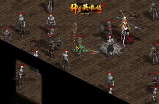 一位对1.95金币传奇私服充沛热爱与探求的女玩家