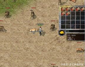 1.80复古火龙传奇在恶魔祭坛要别只盯着BOSS