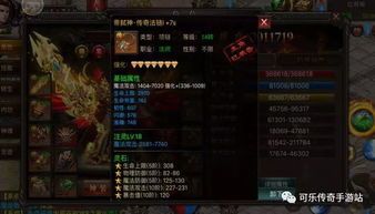 九重传奇私服中,后期这个职业最最显著! 九重传奇私服中,后期这个职业最最显著!