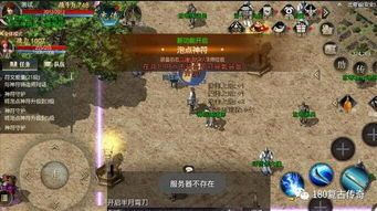 一位对仙逆单职业传奇充沛热爱与期望的女玩家