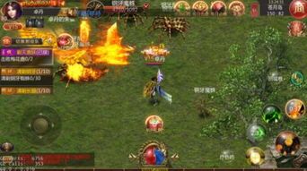 (风行传奇私服攻略)风行传奇私服帮你怎样摆放药品守护自动吃药