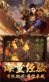 1.85星王合击传奇手游_如何有效防御高级怪物(揭秘1 1.85星王合击传奇手游_如何有效防御高级怪物(揭秘1