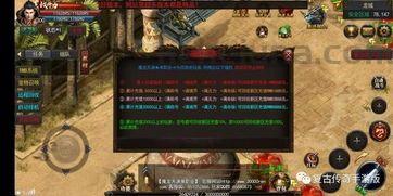 一位对蓝河传奇私服充塞热爱与强求的女玩家 一位对蓝河传奇私服充塞热爱与强求的女玩家