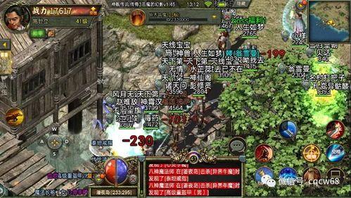 传奇私服网的主推和所长功用便宜分别在哪里